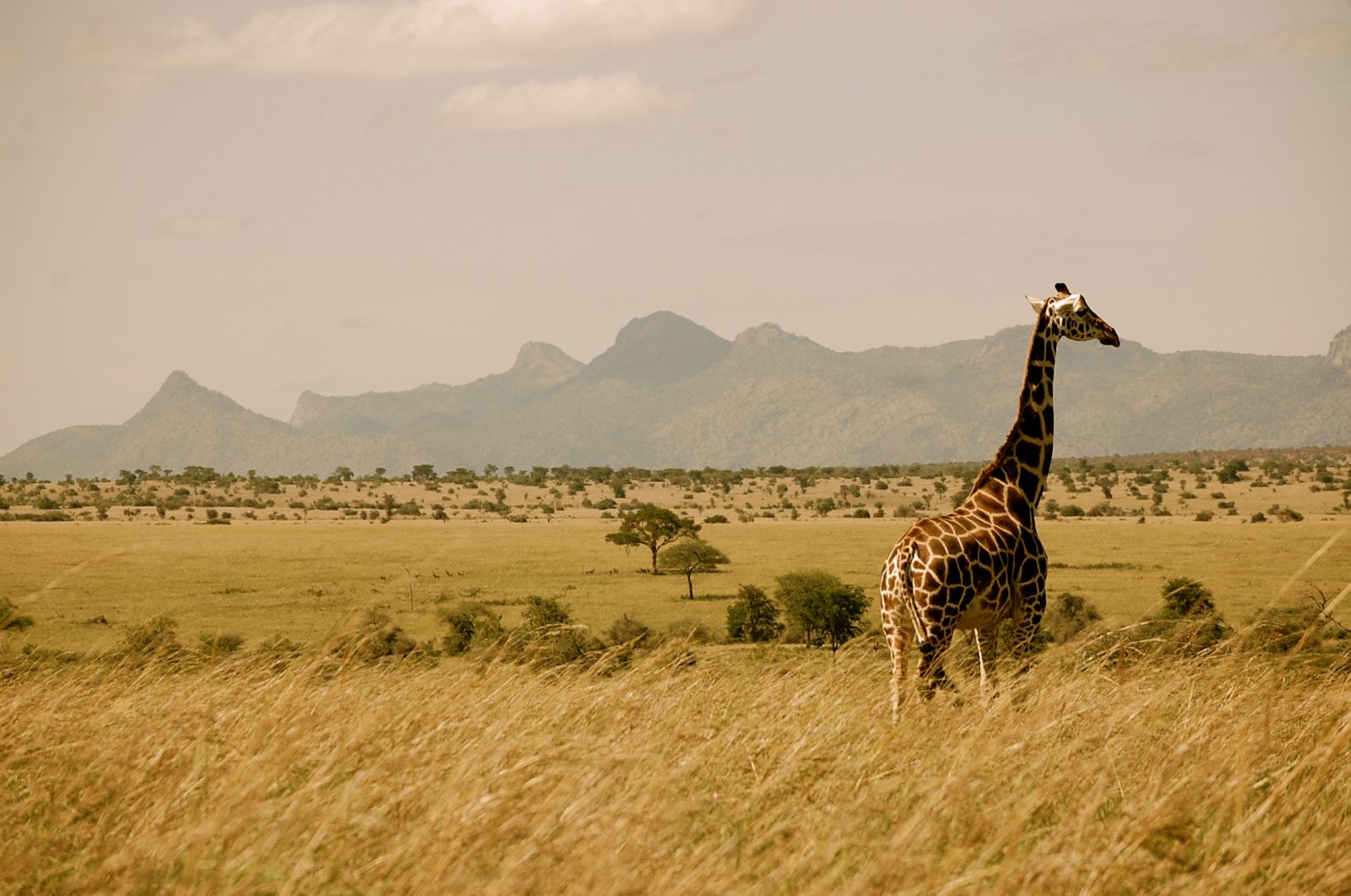 Quando andare in Uganda: clima, stagioni e consigli pratici