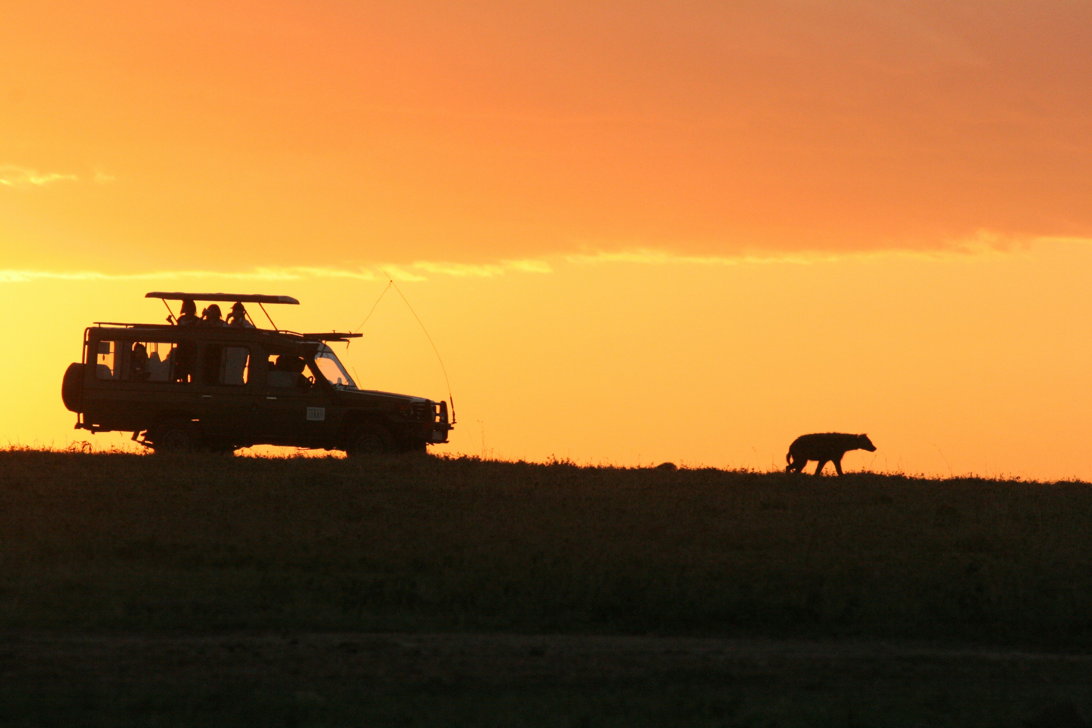Safari in Uganda o Tanzania? Ecco perché scegliere la Perla d’Africa