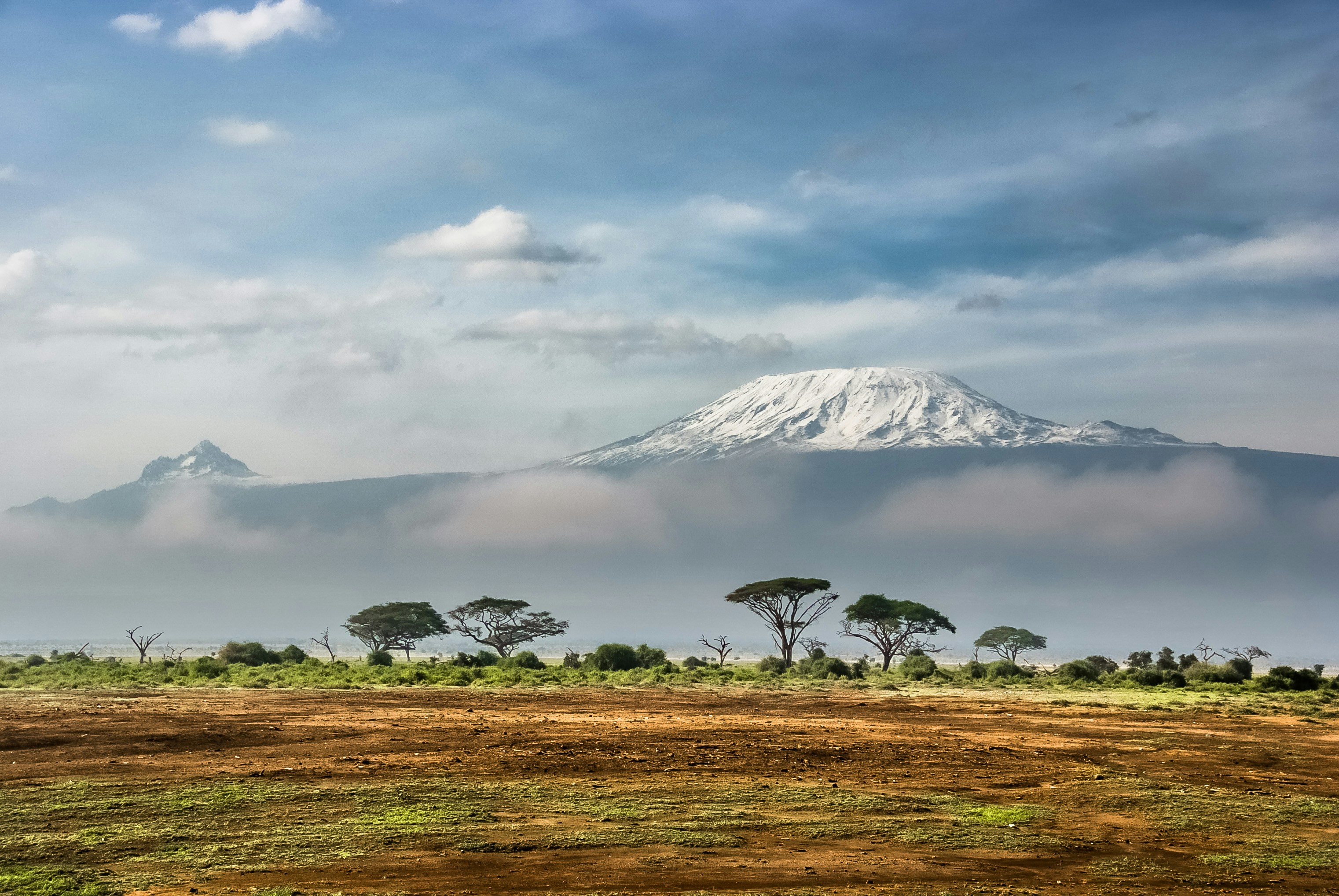 Safari in Uganda o Tanzania? Ecco perché scegliere la Perla d’Africa