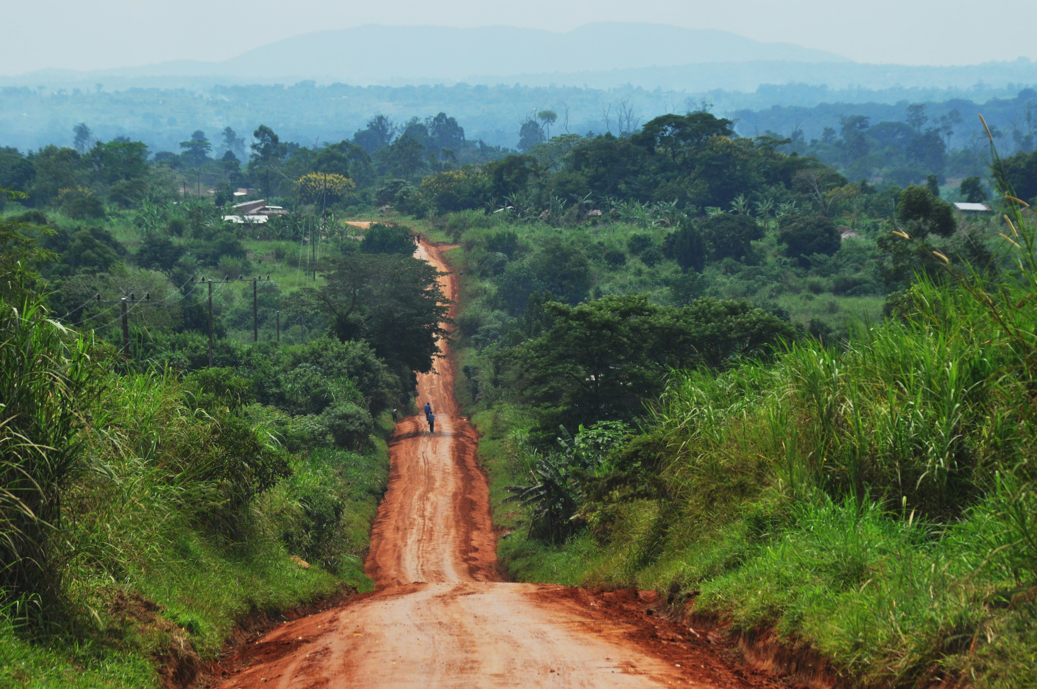Quando andare in Uganda: clima, stagioni e consigli pratici