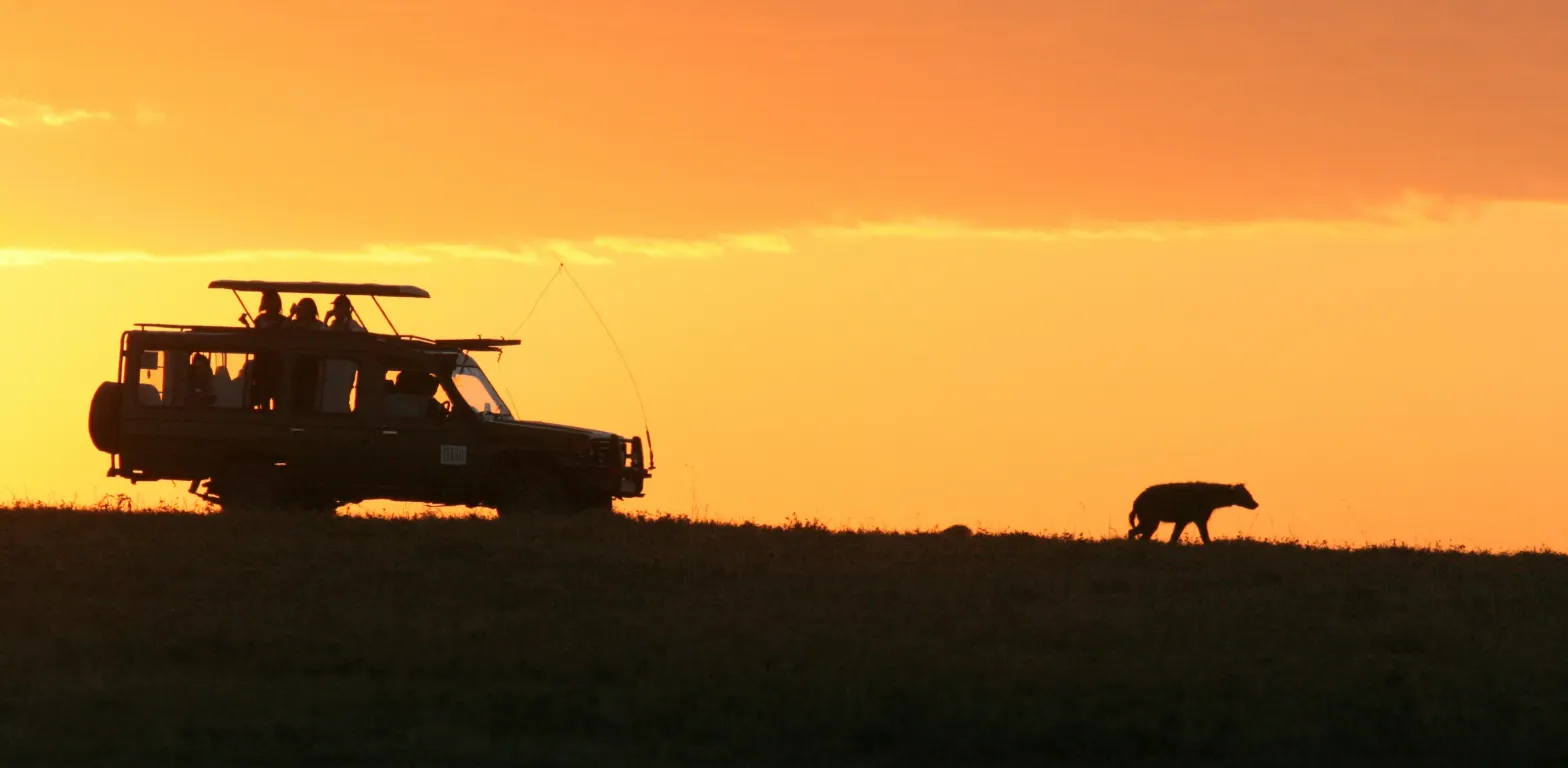 Safari in Uganda o Tanzania? Ecco perché scegliere la Perla d’Africa